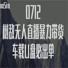 树敌?习研?社抖音无人直播暴力带货车载U盘必出单，单号单日产出300纯利润
