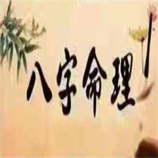 曲炜八字命例、判断技巧点拨班